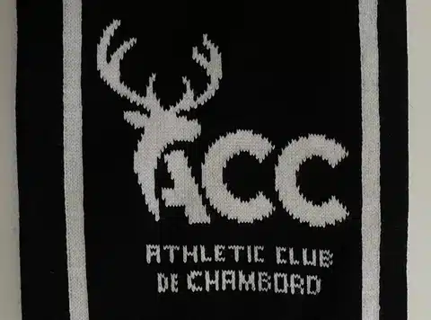 Comment un logo détaillé est-il tricoté ou tissé ? - - Certains de nos produits sont tricotés ou tissés. Pensez aux écharpes, bonnets, gants, caches-cou ou chaussettes. - - 4