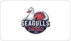 Seagulls_Pordic